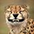 Heather Baddley's profile image