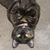 Mina Dunlap's profile image