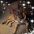 Ryan M. Davis's profile image