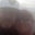 Dawn Wilson's profile image