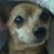 Kari Cohen-Vitthuhn's profile image