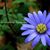 Helen Speier's profile image