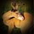 Jennifer Causer's profile image