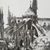 Lauren Ponsford Sanchez's profile image