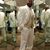Achan Harris's profile image