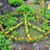Margaret Distler's profile image
