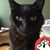Beverly Walker's profile image