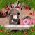 Jackie Ruprecht's profile image