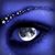 Shannon Nicole Cantalupo's profile image