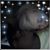 Bri Stanley's profile image