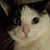 Jill Francis's profile image