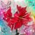 Virginia McKay's profile image