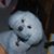 Terry George's profile image