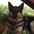 Kim Bornmann Erwin's profile image