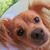 Susan Fernandez's profile image