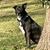 Karin Schlee's profile image