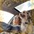 Diane Edwards's profile image