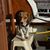 David Carpentier's profile image