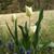 Sandy Canter's profile image