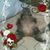 Chi Scates's profile image