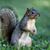 Jeff Jones's profile image