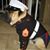 Marine Sarge's profile image