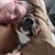 Kevin Klimeck's profile image