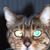 June Ford's profile image