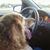 Traci Ridaught's profile image