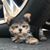 Marcia Jacobs's profile image