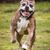 Teresa Ritzhaupt's profile image