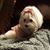 Carolyn Ganter Gordon's profile image