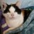 Kristi Trego's profile image