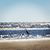 Sue Engle Siegel's profile image