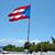 Sonia Alicea-Guzman's profile image