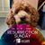 Cymantha Fellows-Schempp's profile image