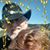 Marlene Dee Harville's profile image