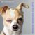 Jane Dean Brown's profile image