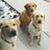 Nancy Ganerlein's profile image