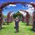 Sue Palazzo's profile image