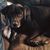 Maria Elena's profile image