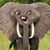 Richard Balint's profile image