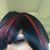 Natasha Folse Jenkins's profile image