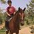 Tyler Adams's profile image