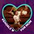 Shiraz Rasool's profile image