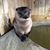 Karmen Bowman's profile image