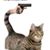 Adrienne Germond's profile image