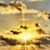 Mary Ann Sorrese's profile image