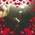 Jasmin Ruelas's profile image