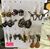 Karen Elkins Stephens's profile image